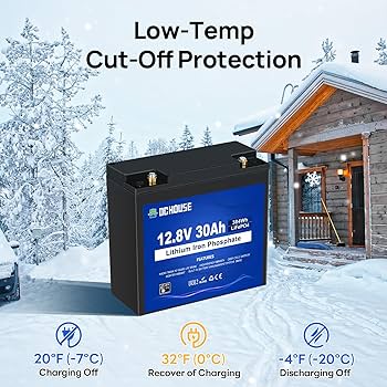 Amazon.com: DC HOUSE 2 Pack 12V 30Ah LiFePO4 Lithium Battery